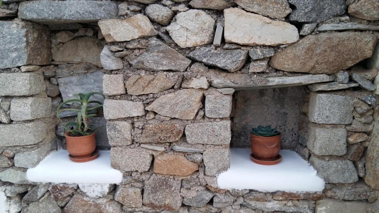 Sunny Guest House New Port Mykonos เตลอส ภายนอก รูปภาพ