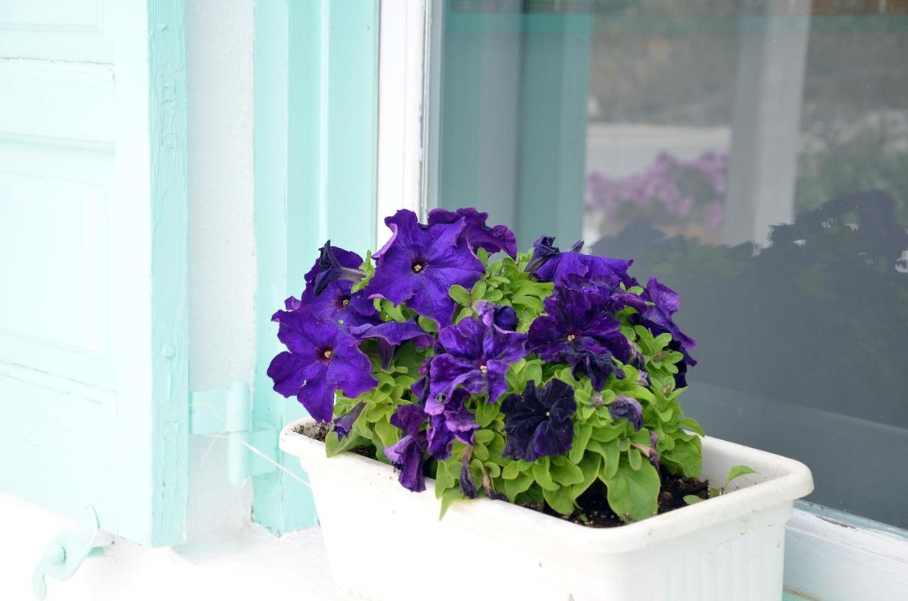 Sunny Guest House New Port Mykonos เตลอส ภายนอก รูปภาพ